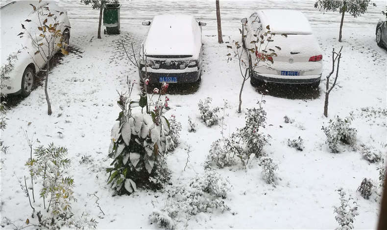 蘇浙滬8省暴雪預警，至尊卡爾用戶請注意